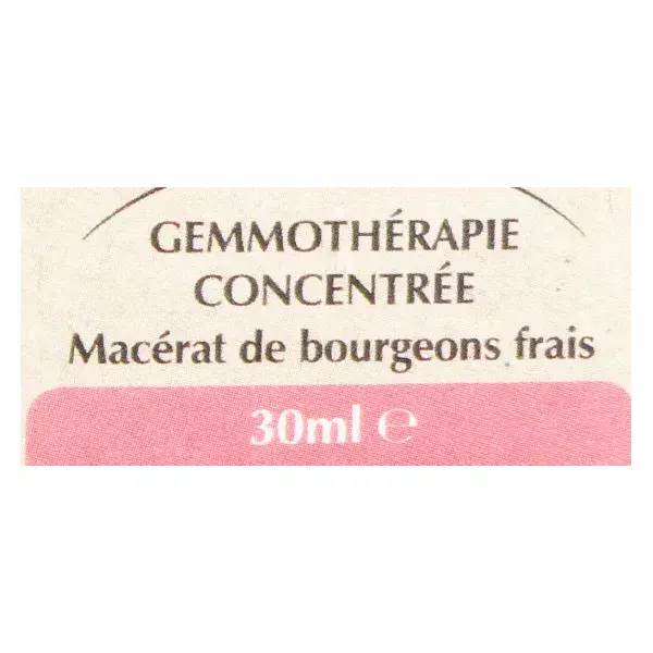 Herbalgem Sinugem Complexo de Gemoterapia para o Trato Respiratório 30ml