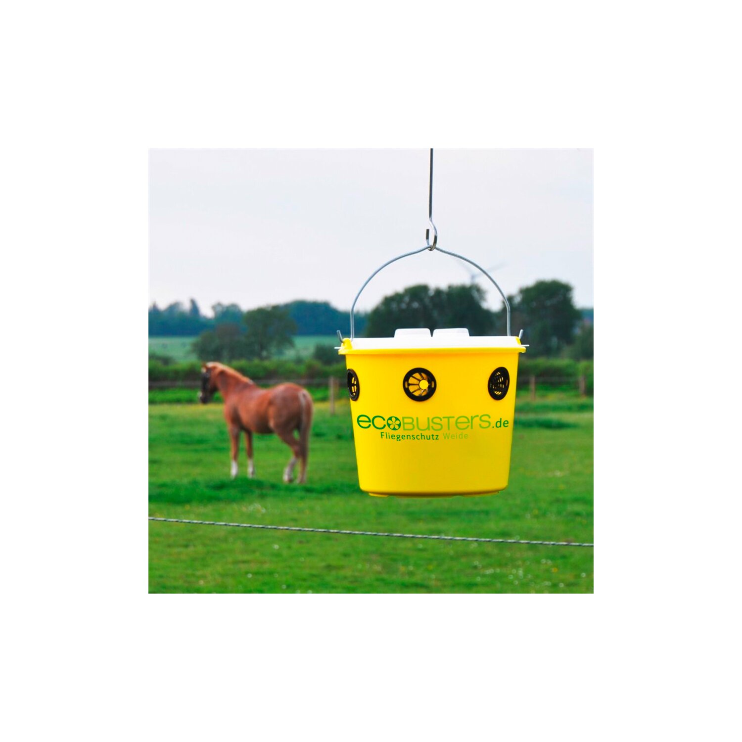 ecoBUSTERS Fliegenfalle Weide Professional + Lockstoff