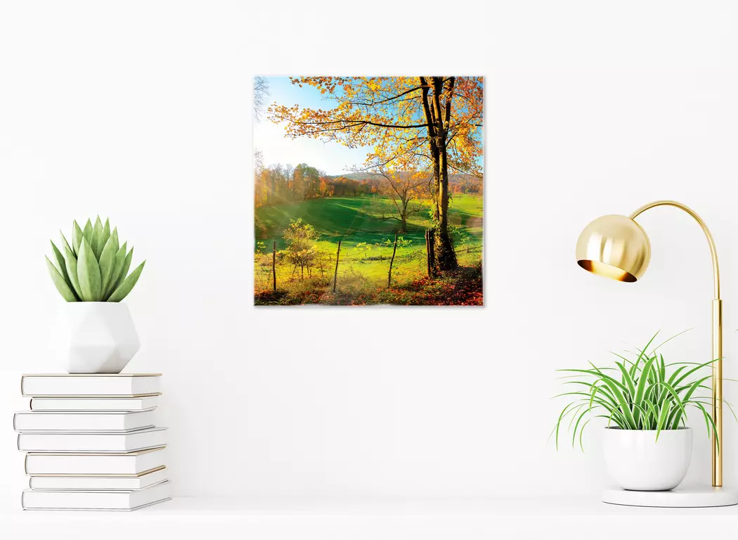 Glasbild 30 x 30 cm Sunny Autumn IV