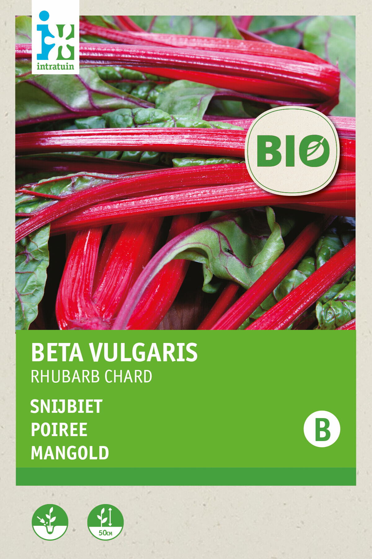 Intratuin biologische groentezaad Snijbiet (Beta vulgares 'Rhubard Chard')