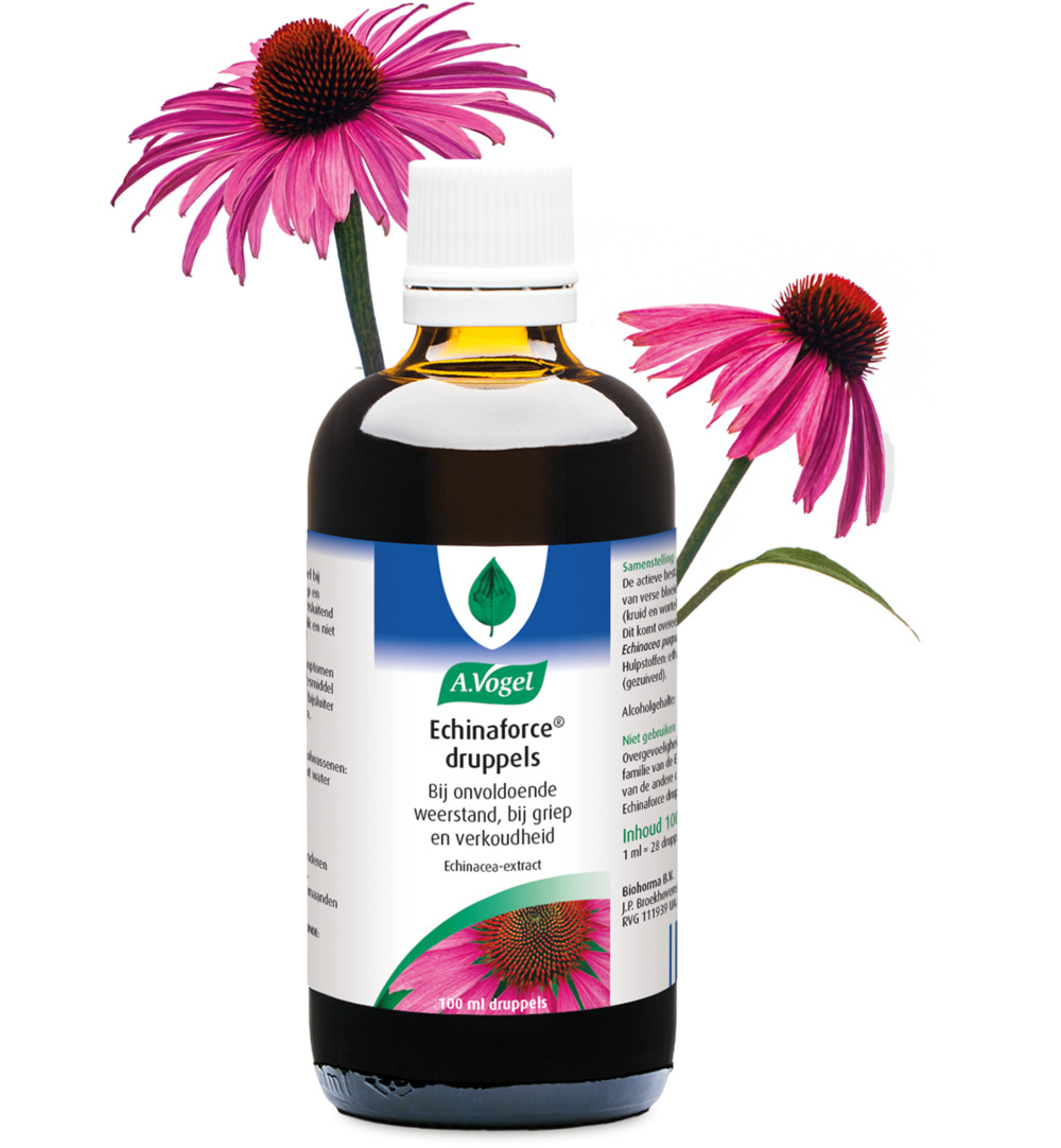 A.Vogel Echinaforce Druppels (100 ml)