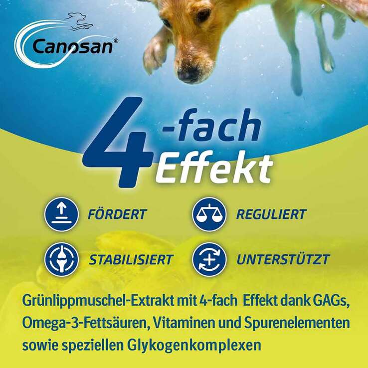 Canosan Konzentrat, 2x1300 g