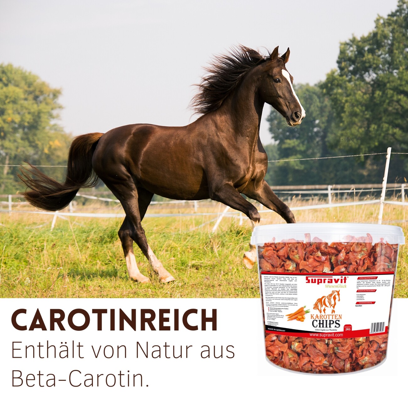 Supravit Karottenchips für Pferde - 2kg Eimer Pferdeleckerlis