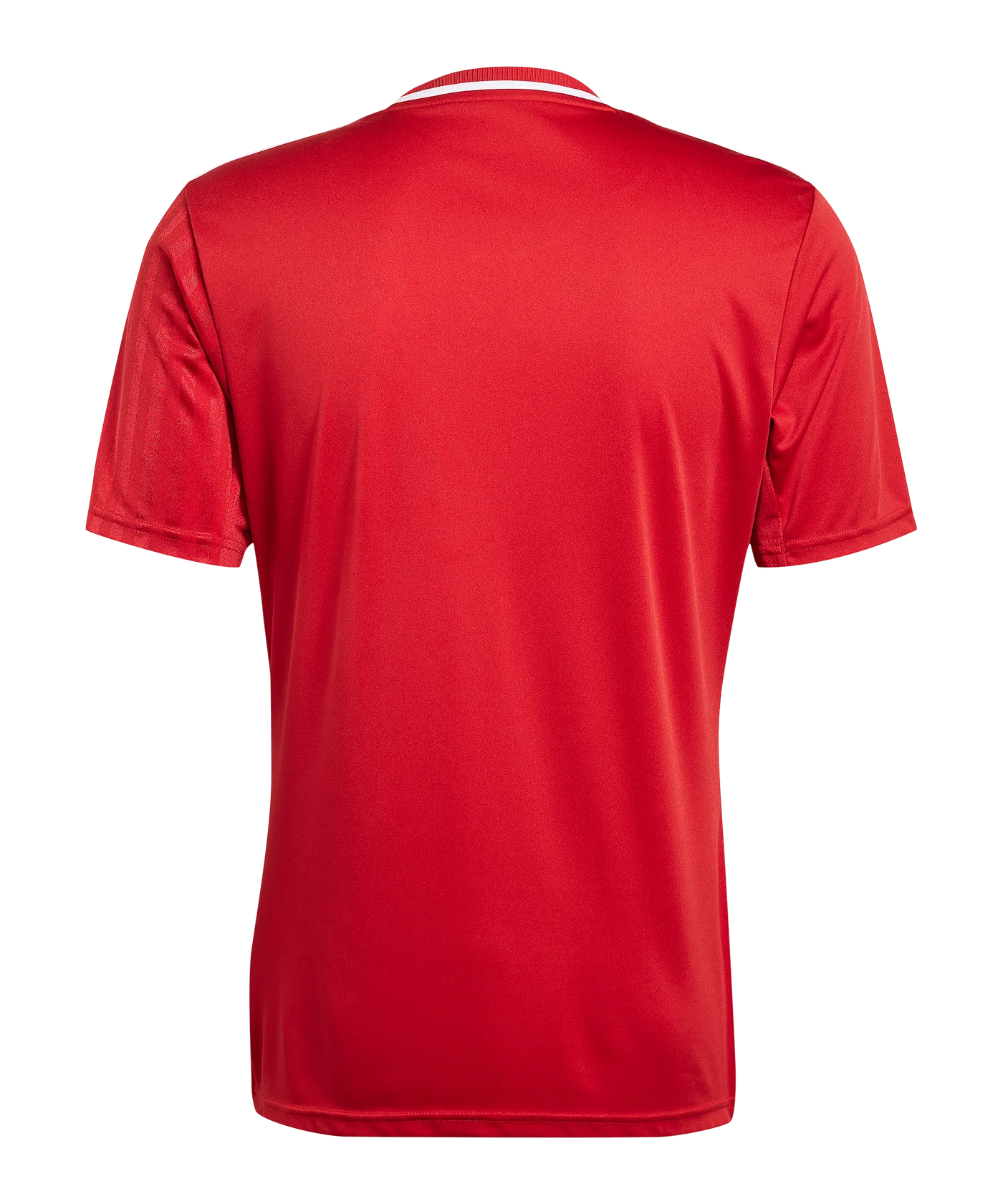 adidas Campeon 25 Trikot Rot