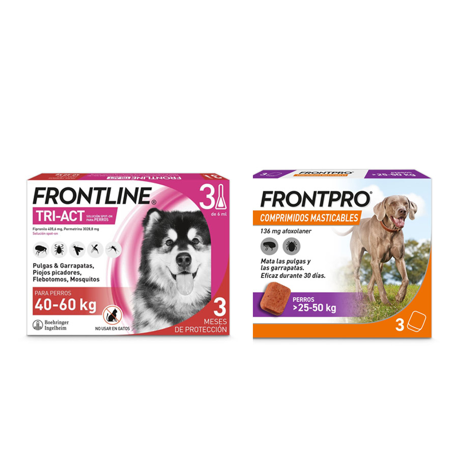 Pipetas Frontline Tri-Act + comprimidos mastigáveis Frontpro para cães de raças gigantes