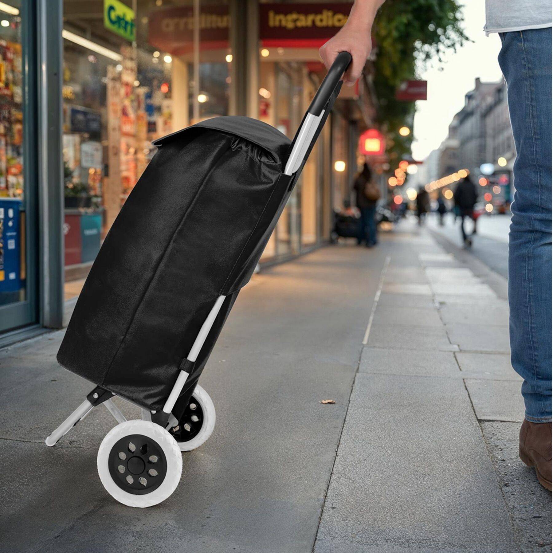 Einkaufstrolley