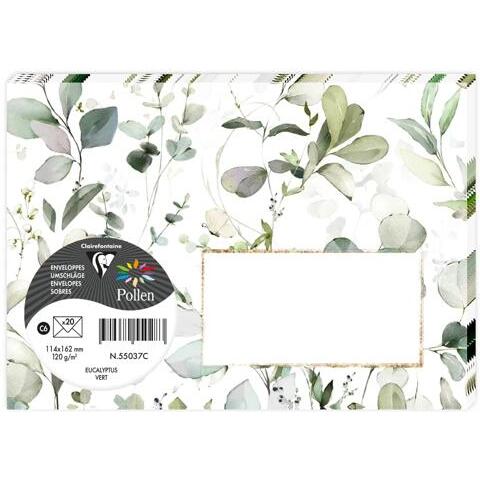 COLLECTION EUCALYPTUS, Paquet de 20 enveloppes imprimées Pollen 114x162mm 120g/m2 - Vert 3 - Vert