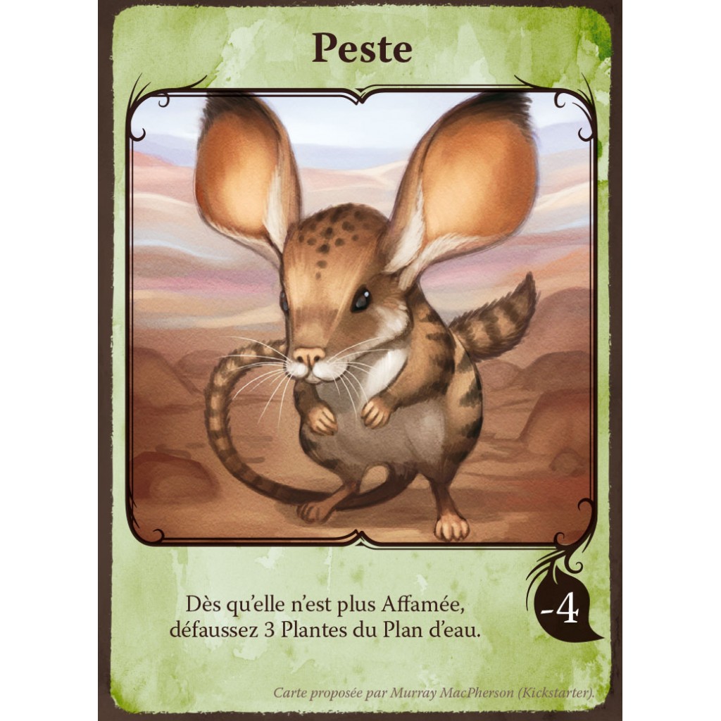 Evolution - Extension Cartes