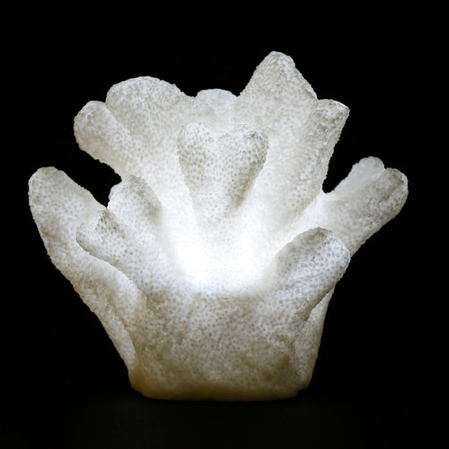 Côté Table - EGEE - Blanc