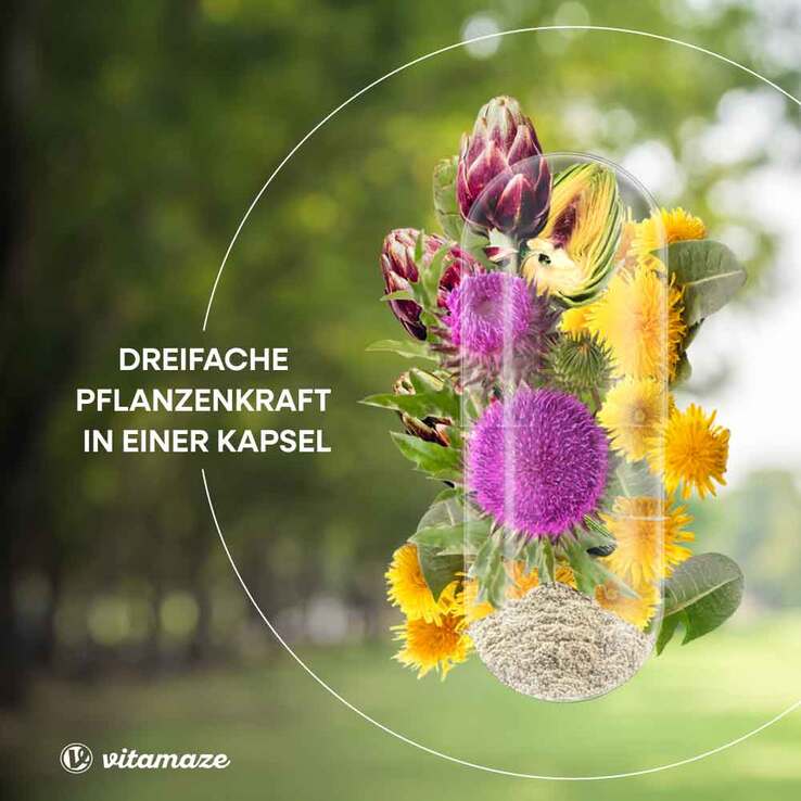 Mariendistel Komplex Artischocke + Löwenzahn veg.Kps, 90 St
