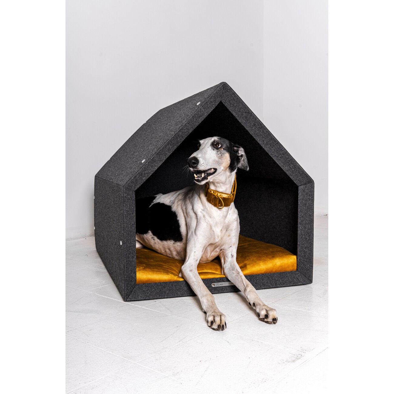 Rexproduct Pethome 2.0 dunkelgrau gelb/ grau S