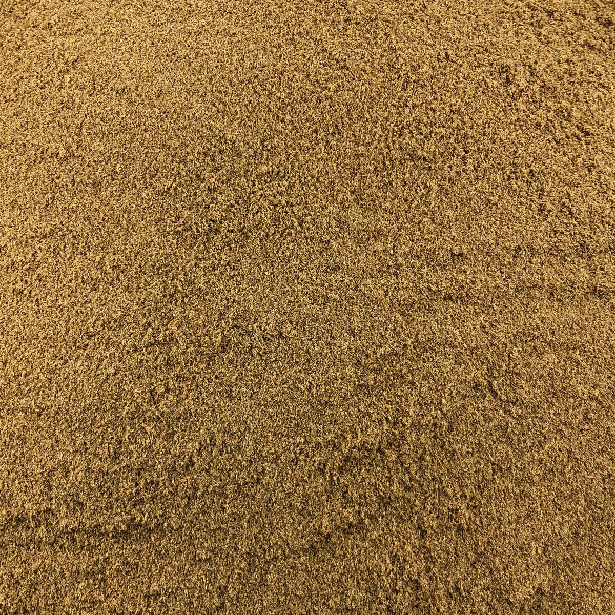 Coriandre Poudre Bio en Vrac 250g Vrac Bio