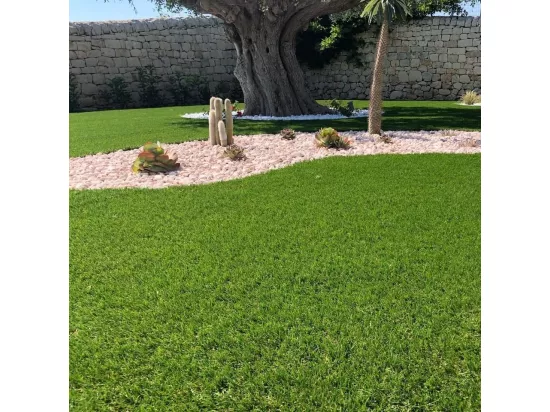 Tapis de gazon artificiel en gazon synthétique, 25 MM, 2x10 MT, 48709