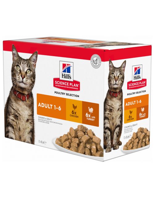 Hill's Feline Maaltijdzakjes Adult Multipack - Kattenvoer - Kip Kalkoen 12x85 g