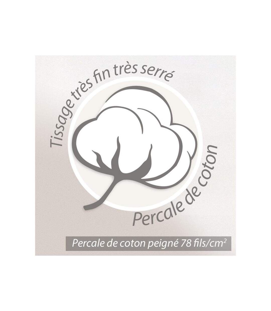 Drap plat 280x325 cm percale coton ASIA Beige
