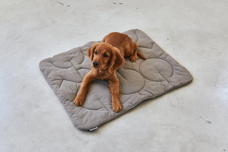MiaCara Linea hondenplaid small anthracite