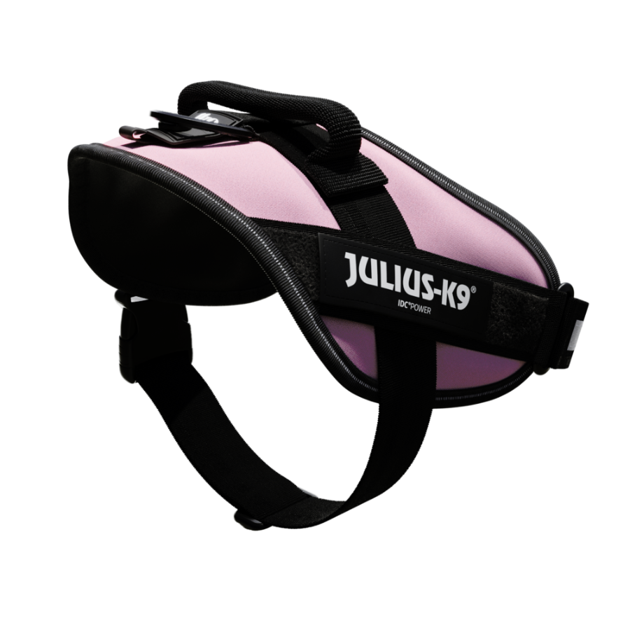 Coleira para cães Julius K9 IDC, rosa