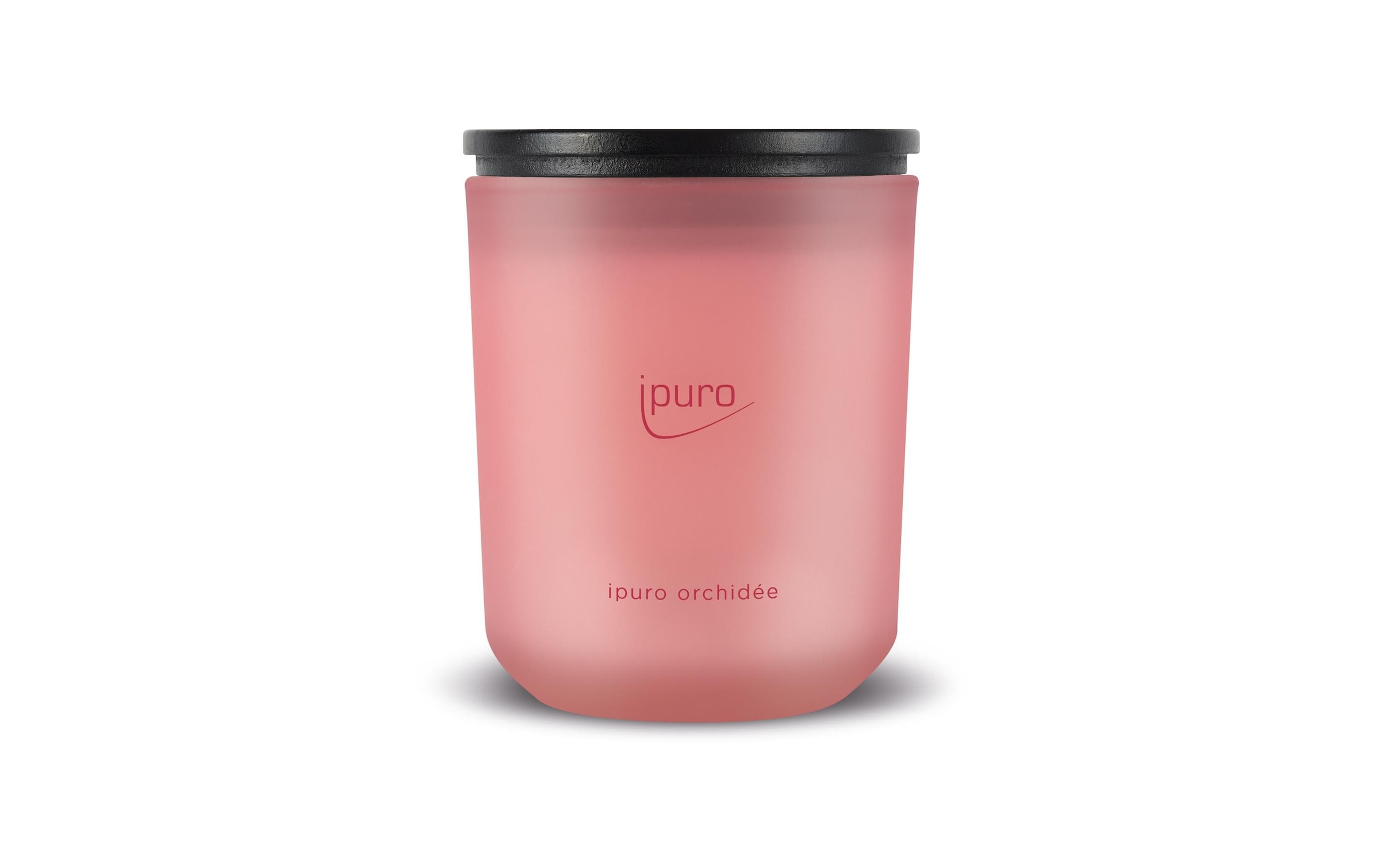 IPURO Duftkerze »Orchidee 270 g«