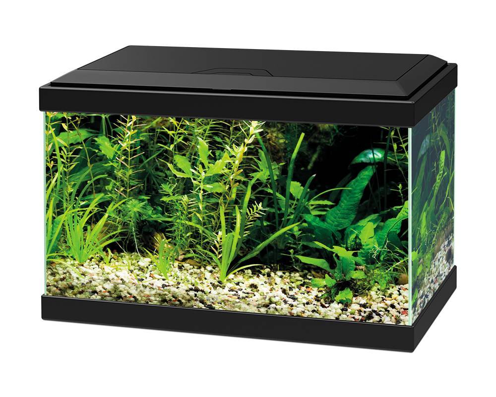 Ciano Aqua 20 LED Zwart