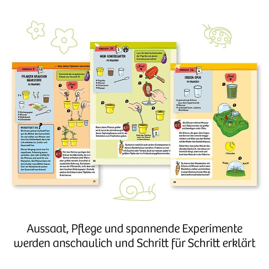 Experimentierkasten MEIN ERSTES GEWÄCHSHAUS
