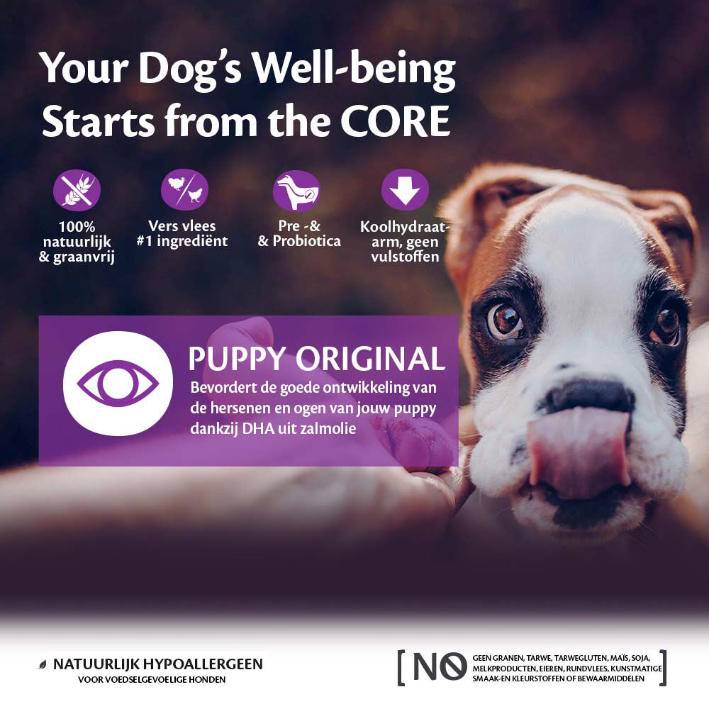 Wellness CORE Puppy Small-Medium - Hondenvoer - 10 Kilogram - kalkoen, kip