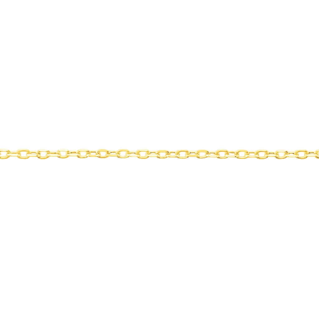 Chaîne Igoa Maille Forçat Diamantee Or Jaune