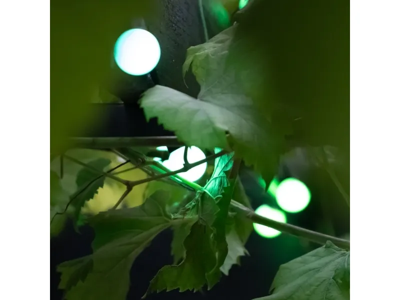 Lite Bulb Moments LBM 10 m smart udendørs lyskæde - 50 x globe 3 cm