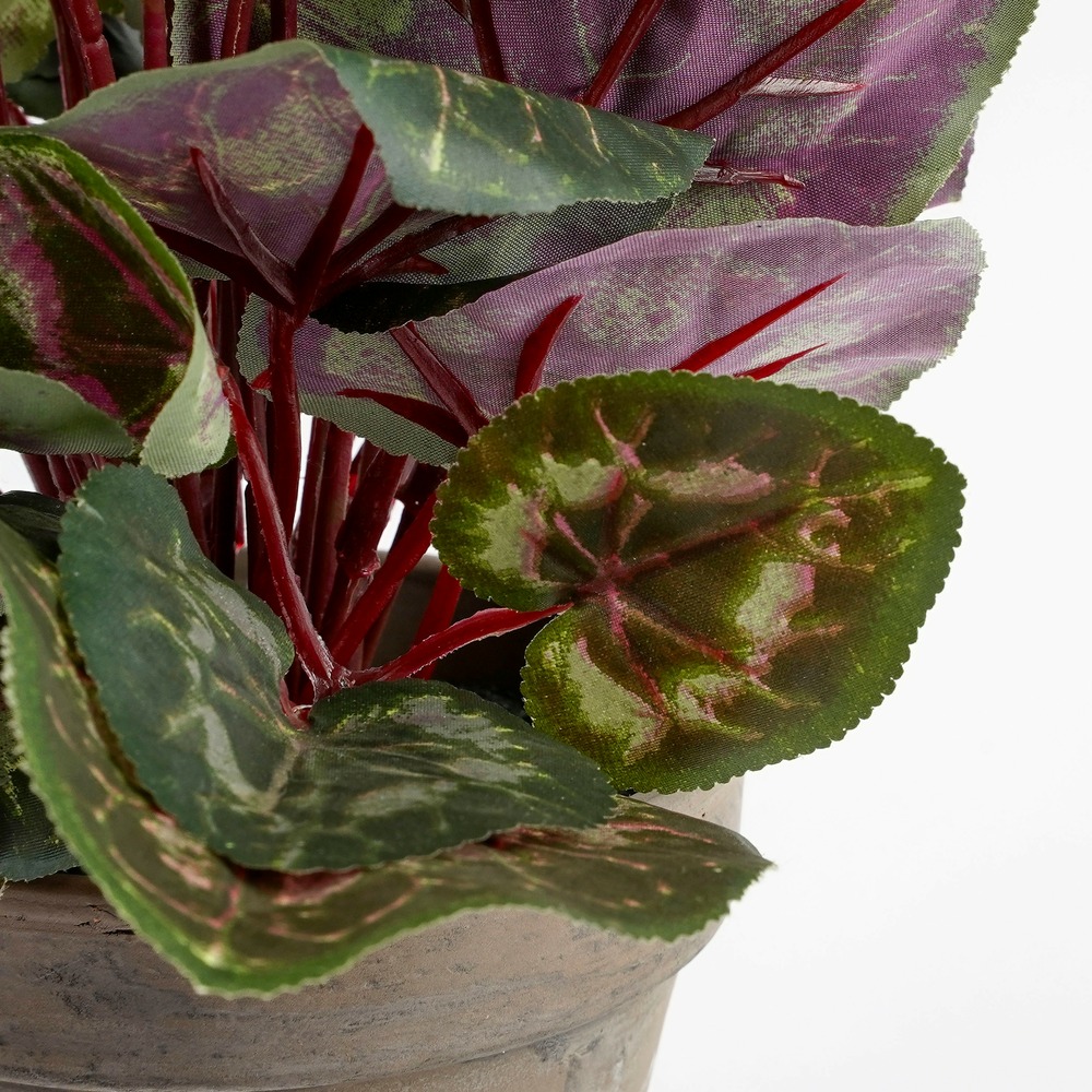 Mica decorations - cyclamen artificielle blanc en pot h30