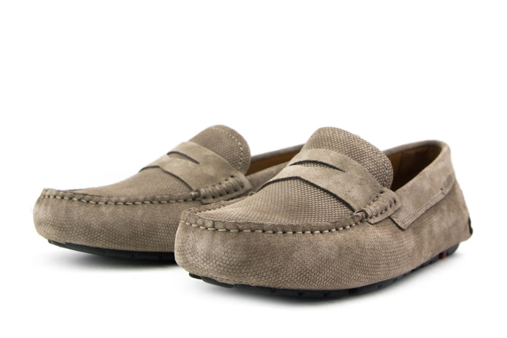 Lloyd Loafers Eljos Taupe Suede