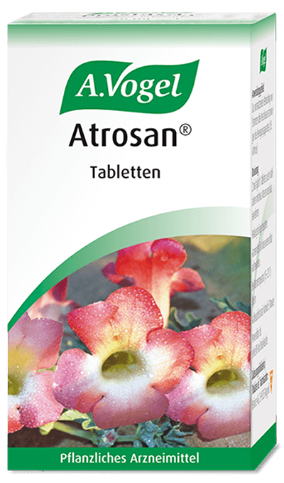 VOGEL Atrosan Filmtabl Teufelskrallen-Tabletten Glas 120 Stk