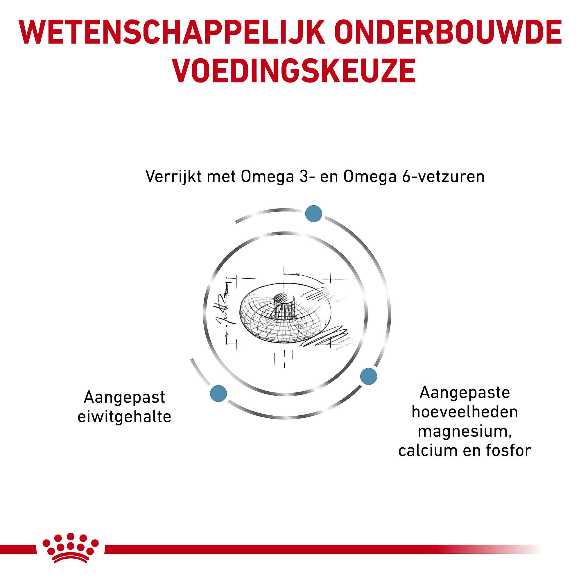 ROYAL CANIN® Skin & Coat 1,5kg - Dieetvoeding voor als je volwassen kat en/of gesteriliseerde kat een huidaandoening of overmatige haaruitval heeft