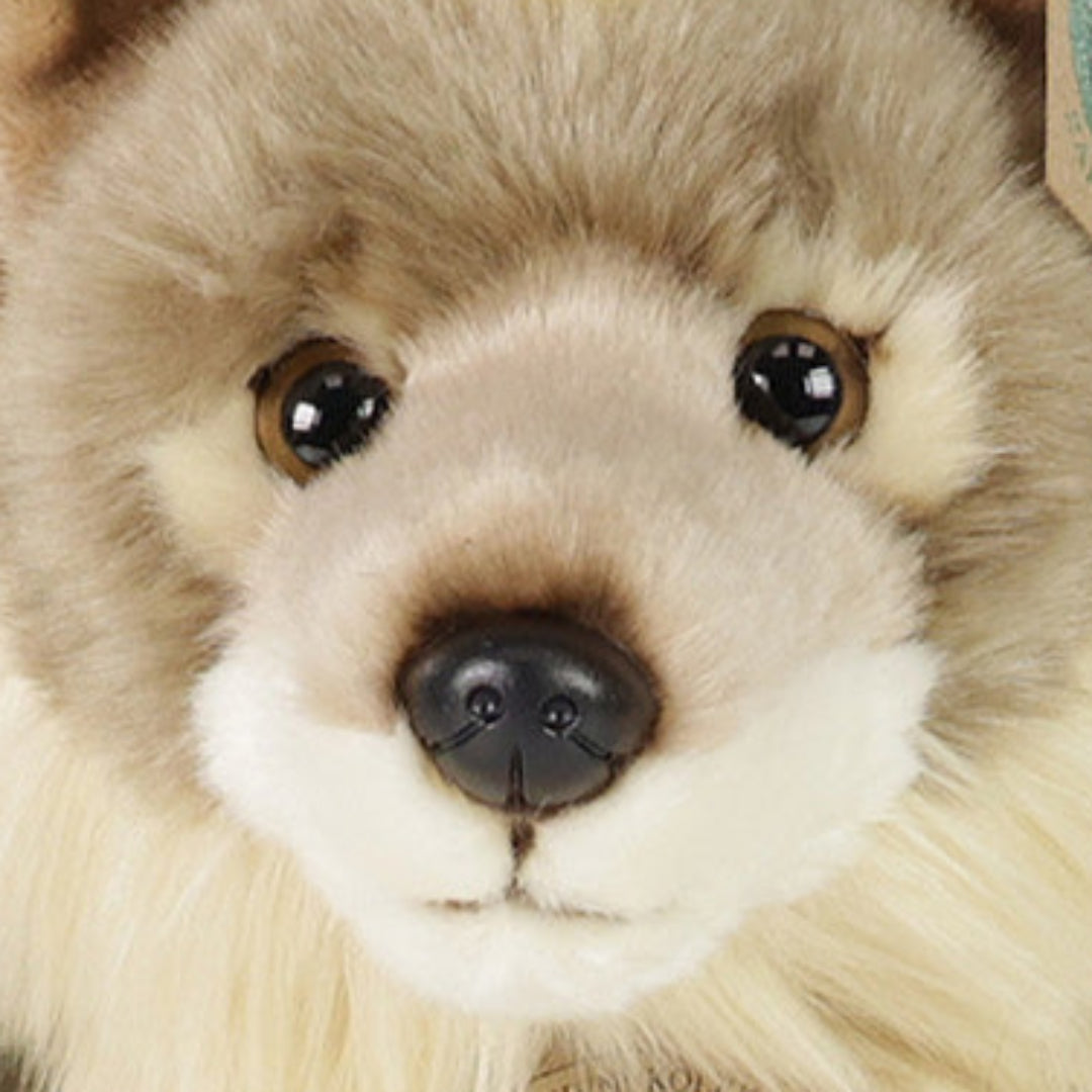 rappa knuffelwolf coyote - 24 cm