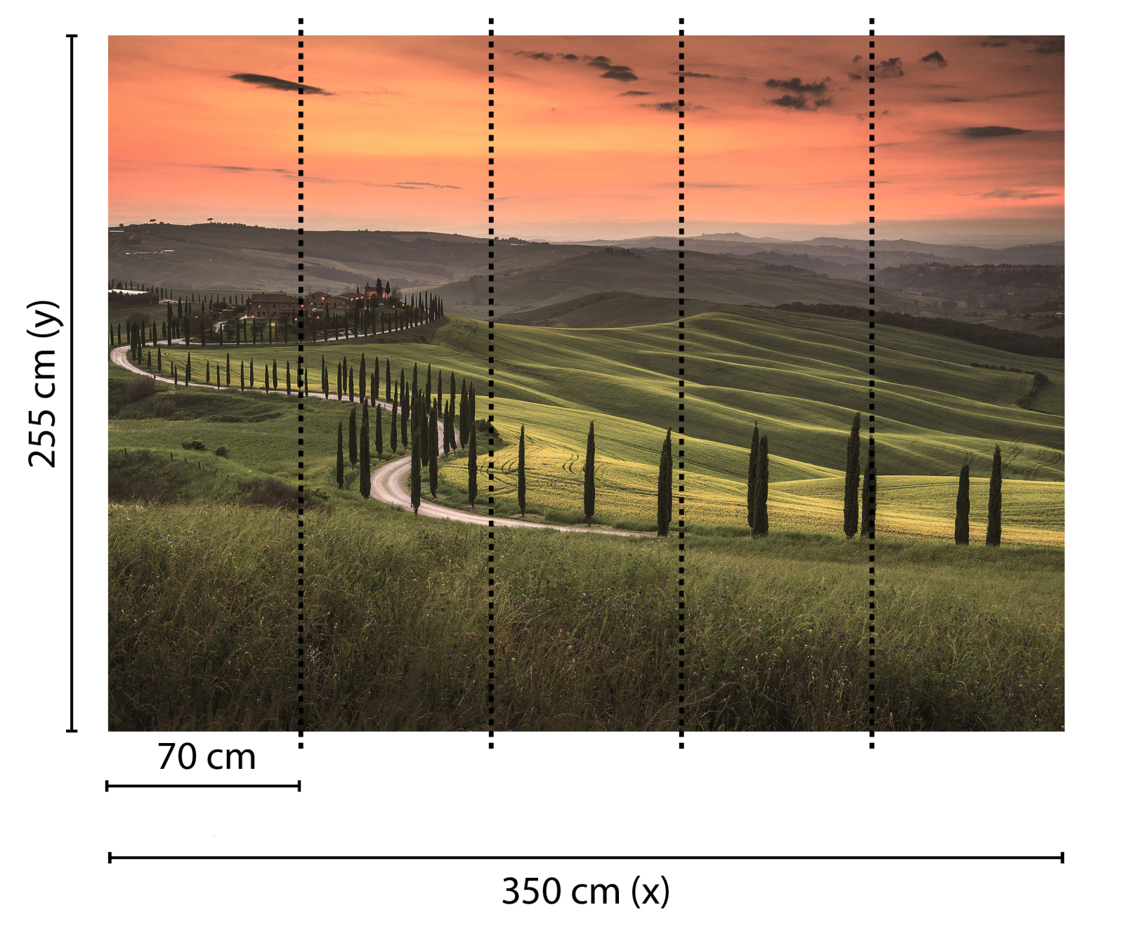 Fototapete DESIGNWALLS - grün-orange - Landschaft - 2,55 Meter