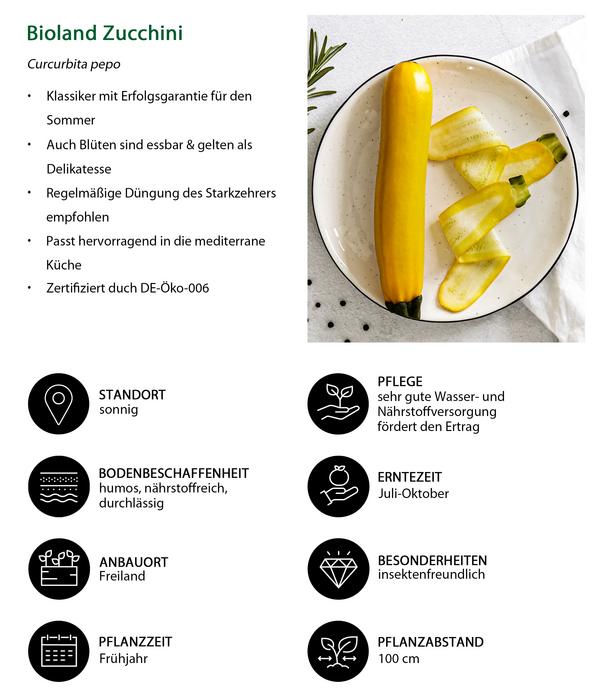Bioland Zucchini