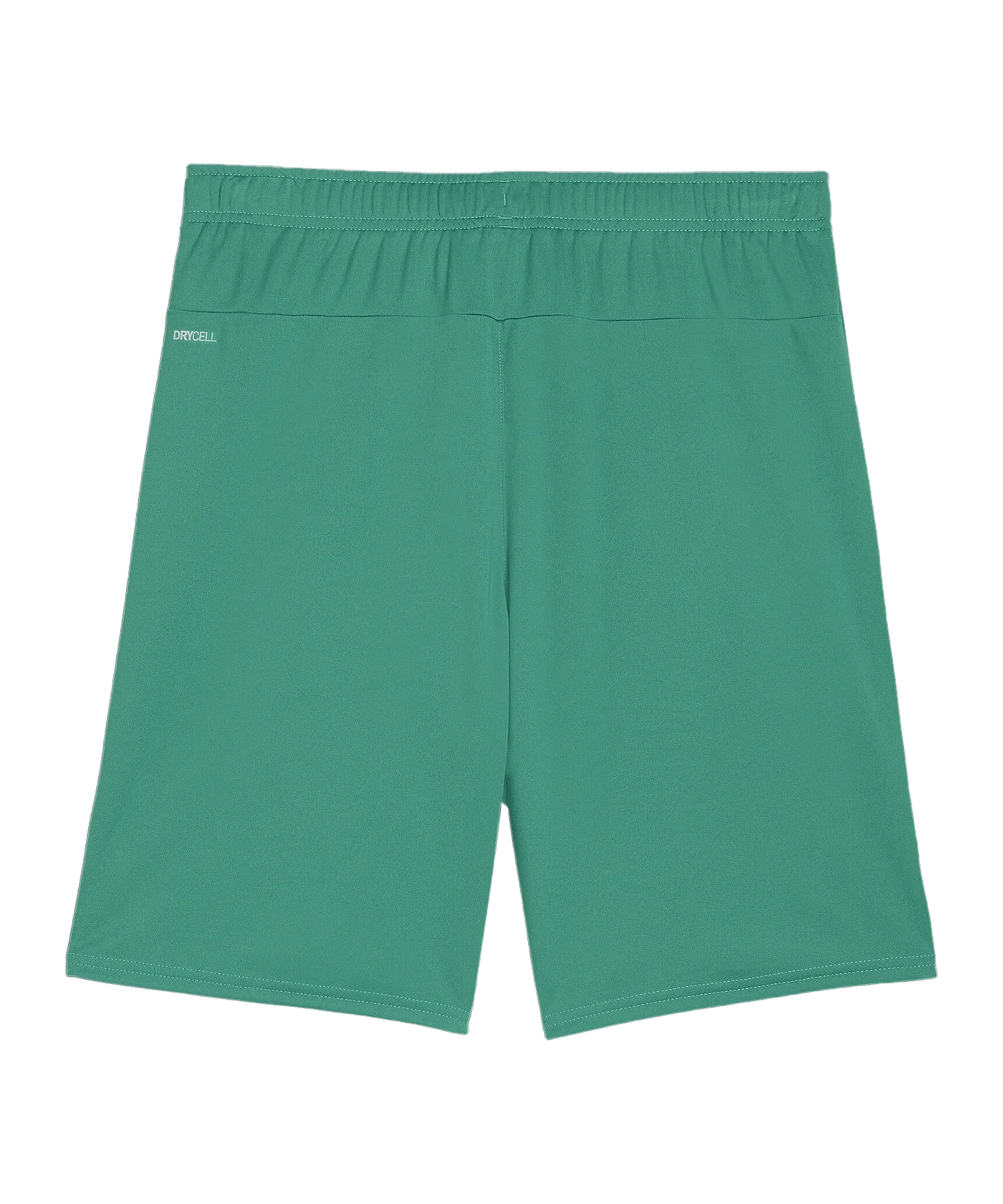 PUMA teamGOAL Short Grün Weiss F05