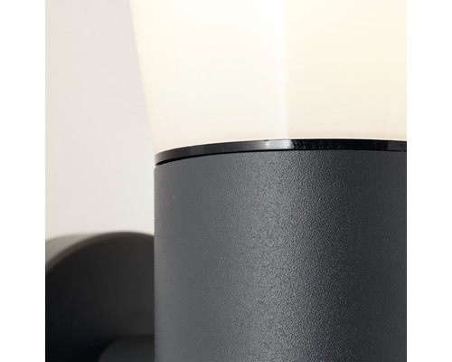 Buitenwandlamp, 1-lichts, 20x10,5 cm, antraciet/wit