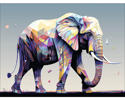 Canvas print Kleurrijke Olifant II 77x57 cm