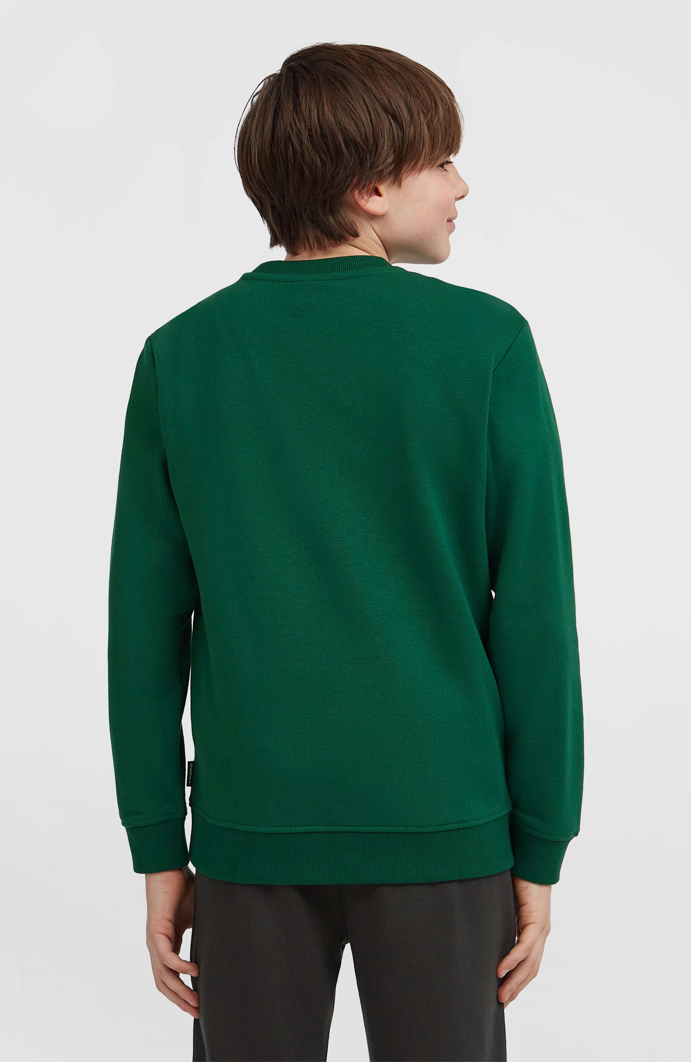 Essentials Crew sweater