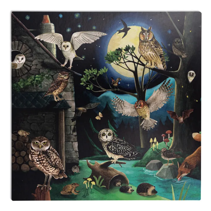 Moulin Roty Coffret découverte des oiseaux