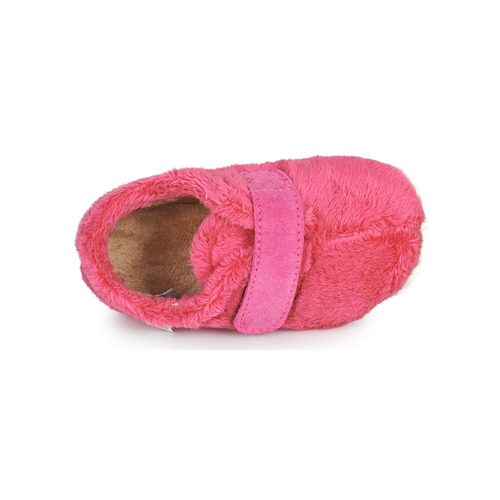 Citrouille et Compagnie - LAFINOU - Fushia