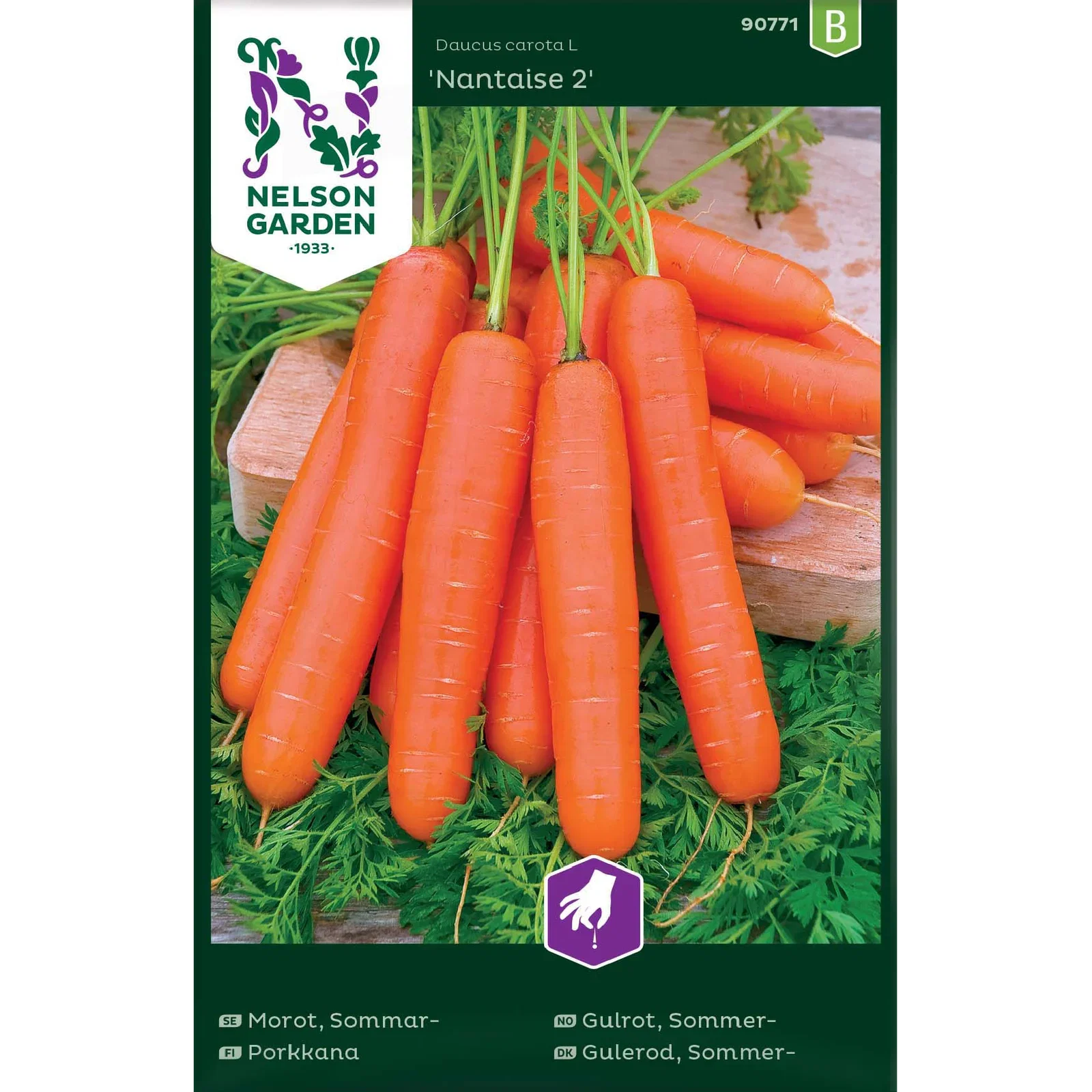 Daucus carota 'Nantaise 2' Sommergulrot 'Nantaise 2'