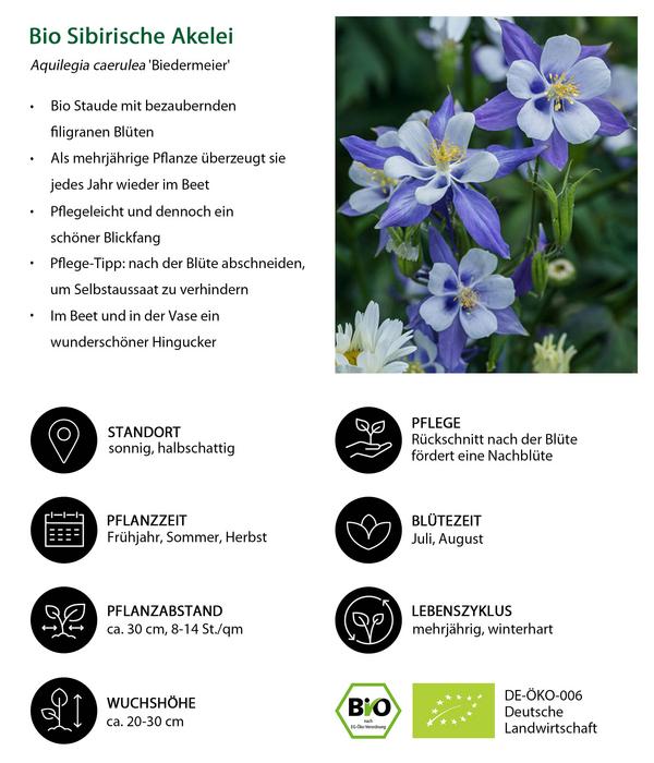 Bio Stauden-Set Einsteiger-Blütenmix,