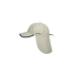 Stone Insect Werende Pet