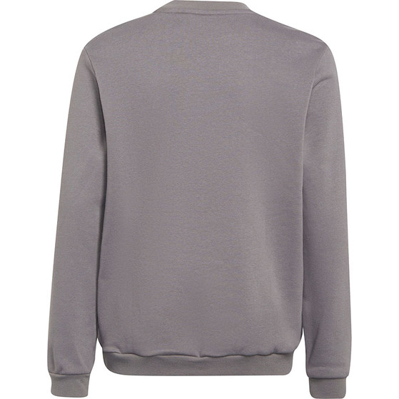 adidas Entrada 22 Sweat Top Kids