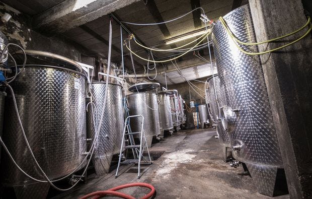 Weinbergsrundfahrt im Holder in Guldental als Geschenkidee