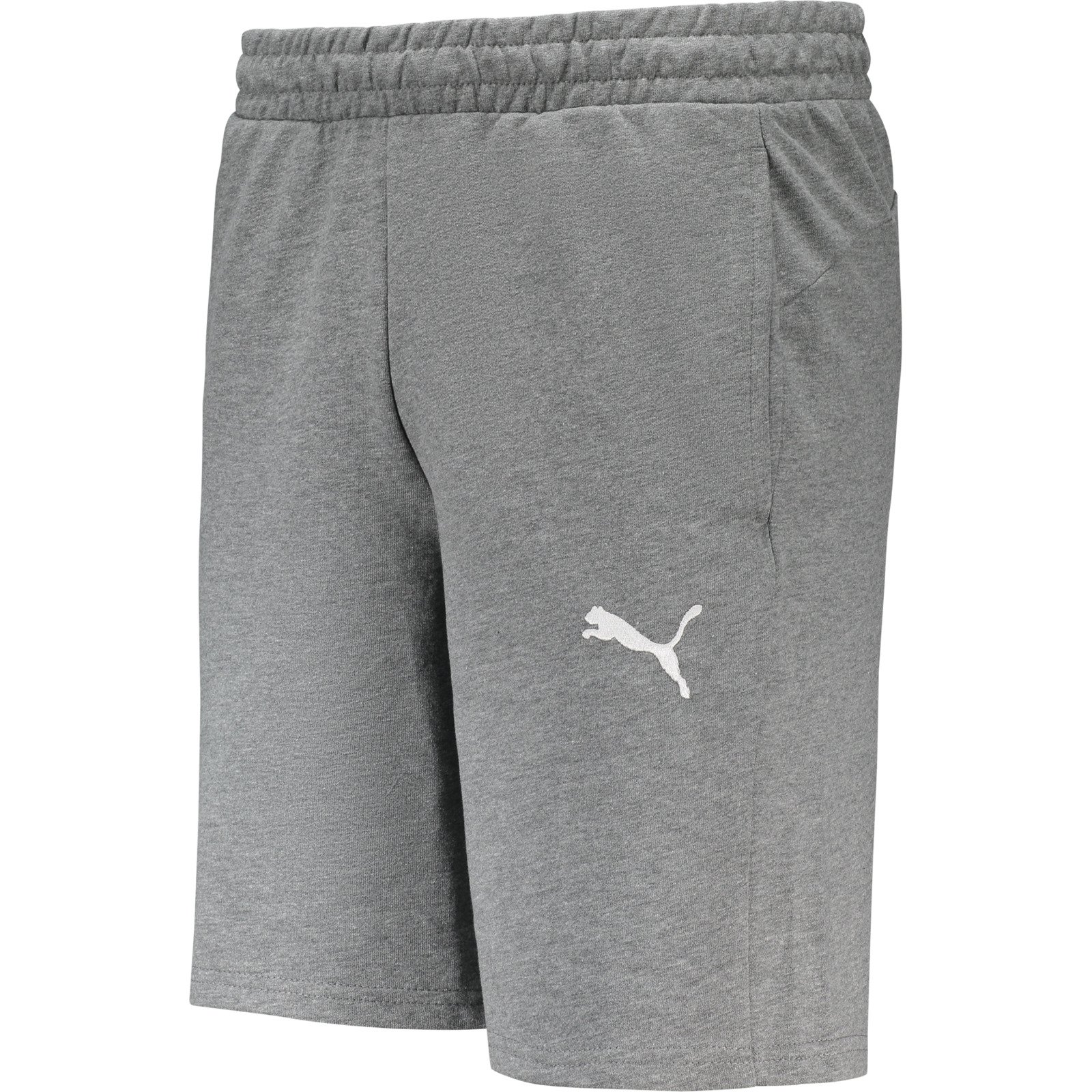 Puma Herren-Shorts teamGoal Casual