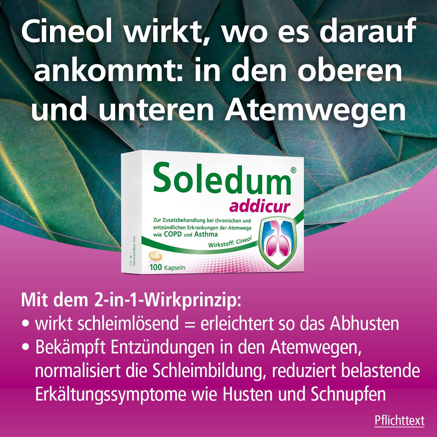 Soledum® addicur zur Zusatzbehandlung bei COPD und Asthma