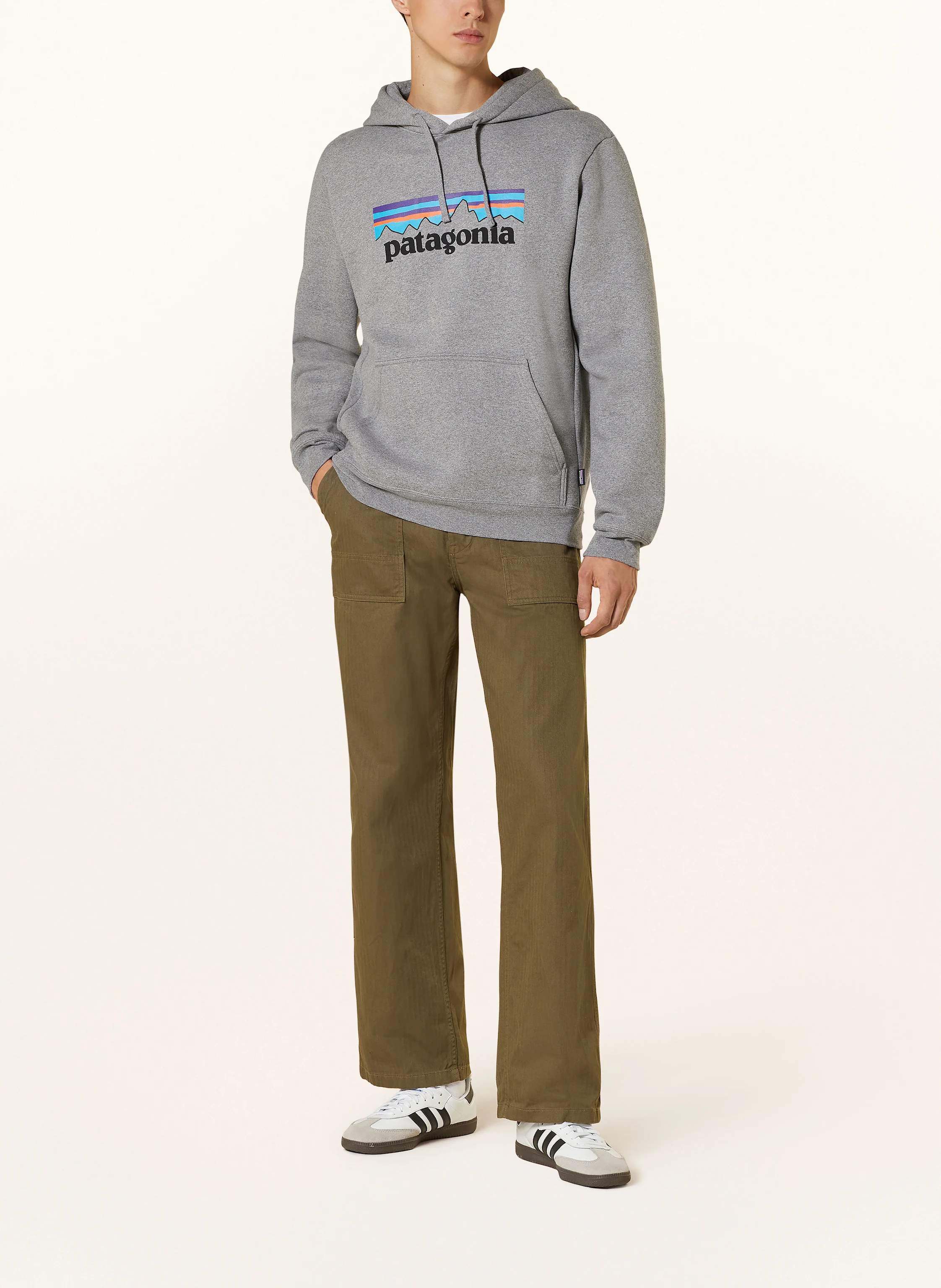 patagonia Hoodie P-6