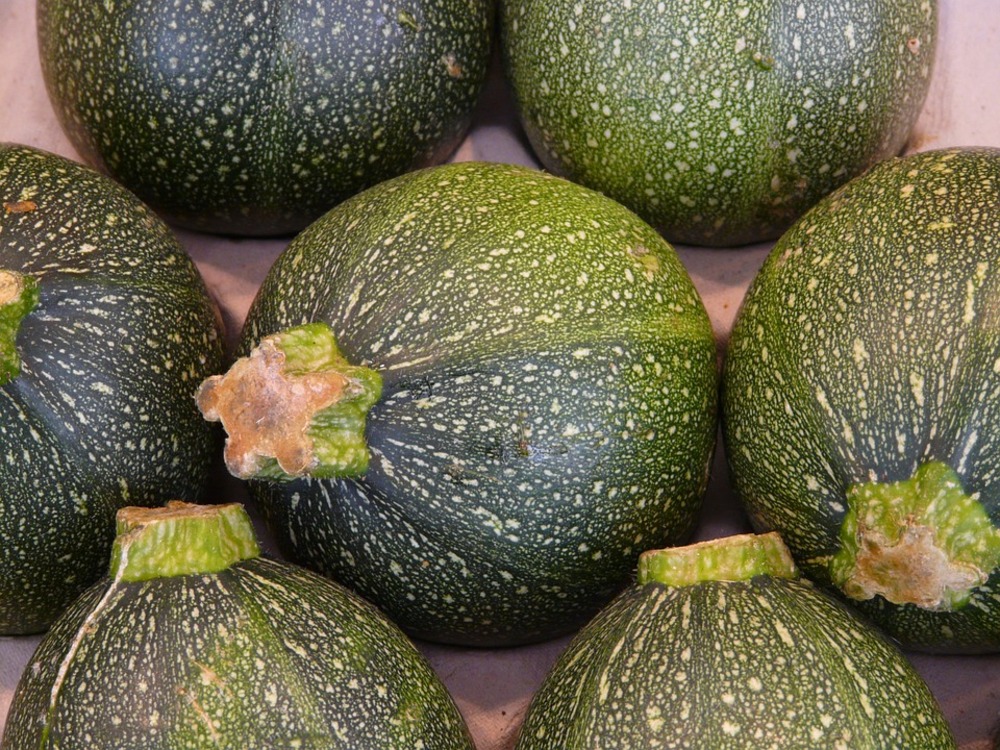 Sachet de graines de courgette ronde de nice - sachet de 5 grammes - petite entreprise française - made in france