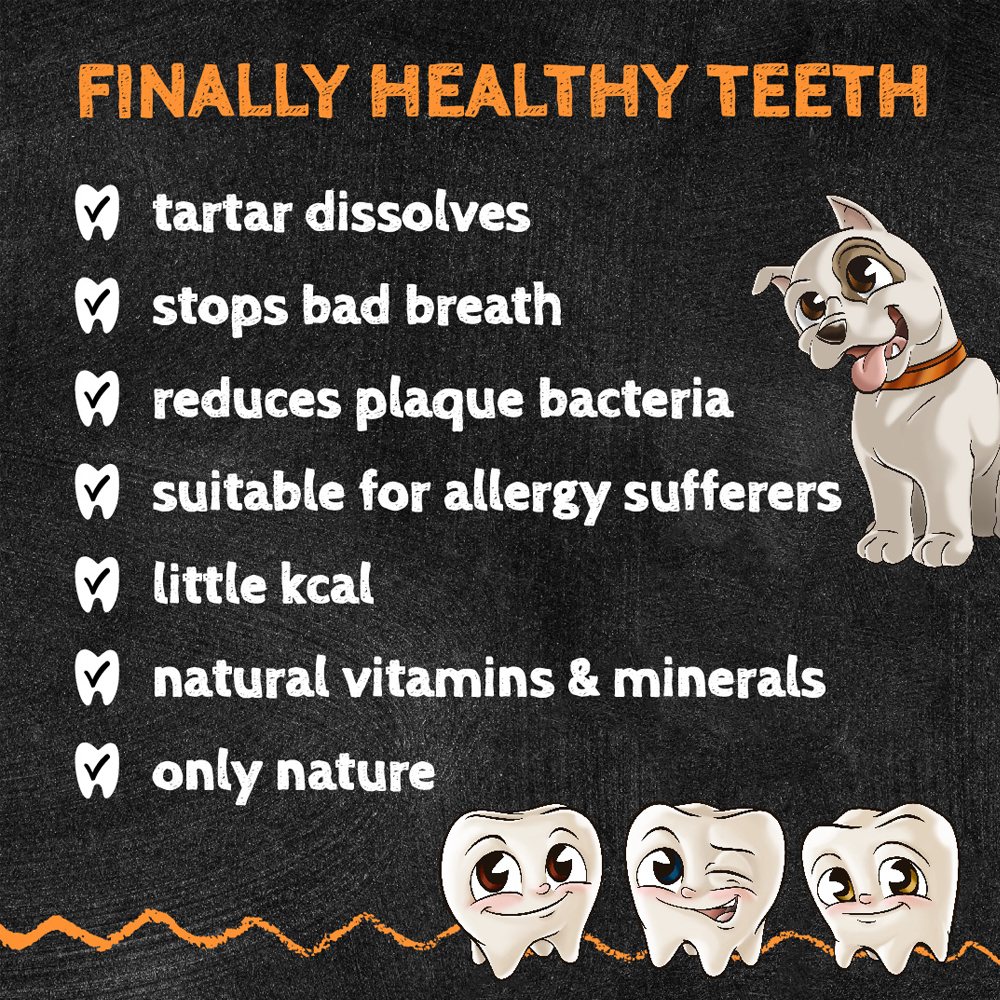 Qchefs Dental Flakes - Honden